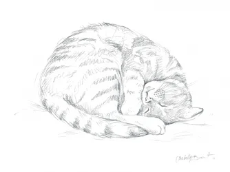 Tekening van een slapende kat