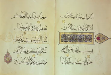 Twee pagina