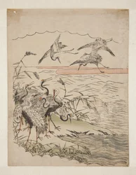 Terugkerende Kraanvogels