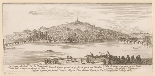Gezicht op Lyon vanaf de oever bij het celestijnenklooster