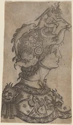 Man met een fantastisch helm