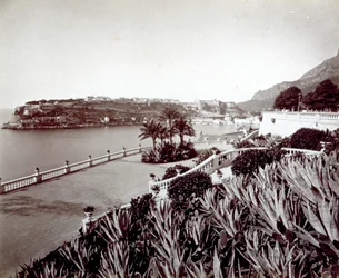 Panorama van Montecarlo. Op de voorgrond, dichte vegetatie van agaveplanten en cactus