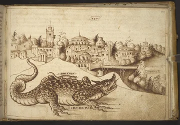 Een krokodil (