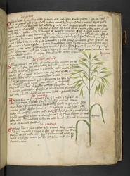 Een kruidenboek, Belluno