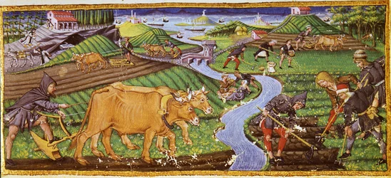 Landbouw aan het begin van de 15e eeuw. Biblioteca Ricciardiana, Florence