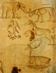 Dieren