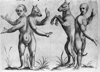 Verschillende soorten menselijke monsters: twee wezens met dubbele lichamen, half mens en hond (Siamese). Gravure uit 