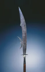 Glaive met de wapens van de familie Giustini, Venetië