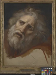 Hoofd Van Laocoon