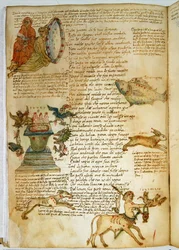 Ms Ital 483 P.4.7 f.162v Constellaties, uit de 