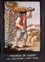 Napolitaanse beroepen: de verkoper van Marasca-kersen - (Oud beroep: de verkoper van Marasca-kersen), 19e eeuw - Napels, Museo Nazionale di San Martino