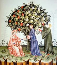 Rozen verzamelen, illustratie uit Tacuinum Sanitatis Codex Vindobonensis