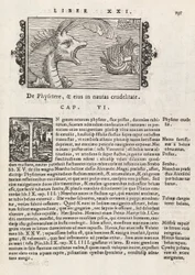Pagina 735 uit Historia De Gentivus Septentrionalibus door Magnus Olaus, Rome 1565