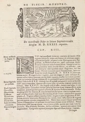 Pagina 742 uit Historia De Gentivus Septentrionalibus door Magnus Olaus, Rome 1565