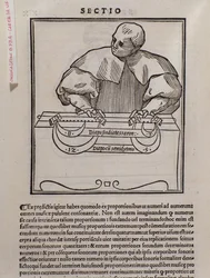 Pagina uit Musica theorica door Lodovico Fogliani (1475?-1542) (of Ludovico Foliani), muziektheoreticus.
