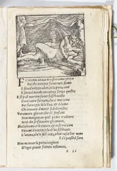 Pagina uit 
