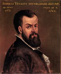 Portret van Andre Vesale (Andreas Vesalius) (1514-1564), anatoom en arts van Karel V anoniem schilderij van de Italiaanse school. 16e eeuw Padua, Universiteit