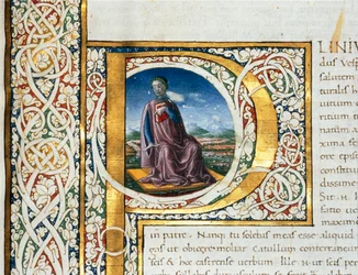 Portret van Plinius de Oudere
