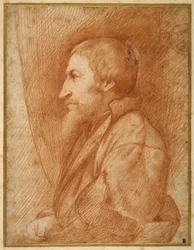 Profielportret (zelfportret?) van een bebaarde man
