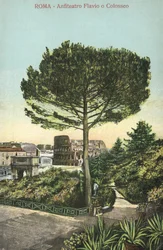 Rome, Italië, Amfitheater en Colosseum (kleurenlitho)