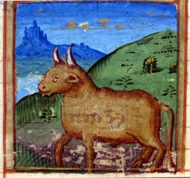 Teken van de stier. Italiaans horoscoop, midden 15e eeuw