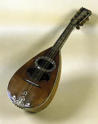 Stilleven van Napolitaanse mandoline uitgevonden door Giuseppe Filano. Napels 1784