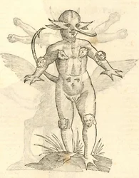 Illustratie van Infans capitibus Animalium uit Aldrovandis Geschiedenis van Monsters, 1642