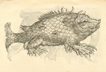 Illustratie van Monstrosus Sur marinus uit Aldrovandis Geschiedenis van Monsters, 1642