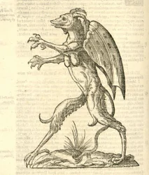 Illustratie van Monstrum alatum, & cornutum instar Cacodaemonis uit Aldrovandi