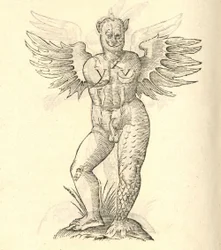 Illustratie van Monstrum cornutum, en alatum aliud uit Aldrovandis Geschiedenis van Monsters, 1642