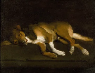 Een hond liggend op een richel, ca. 1630-1720 (olieverf op doek)