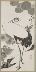 Kraanvogel, Hangende Rol, Edo-periode