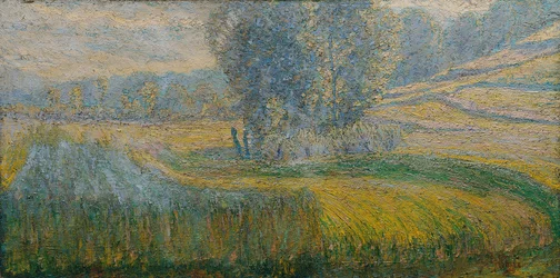 Het veld van Rafolče
