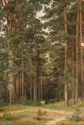 Een zomerdag, Merikiul, 1895