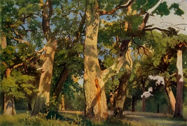 Eikenbomen in de avondschemering, 1887, 1965
