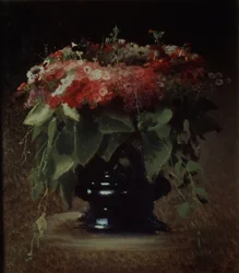 Bos bloemen. Phloxen