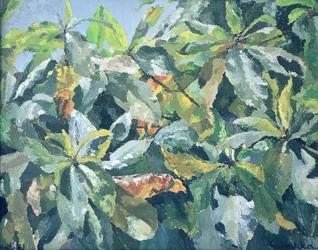 Planten, 1961
