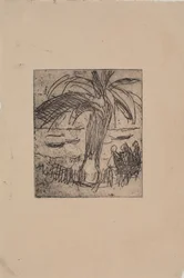 Palmboom bij de zee