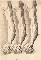 Studieblad van armen