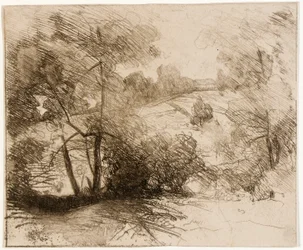 Wilgen