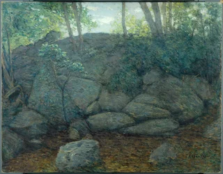 Rotsen in het bos
