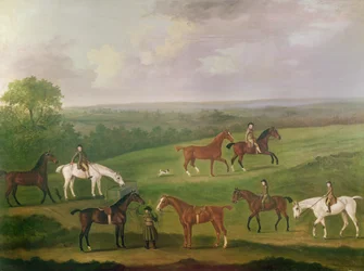 Paarden bij Oefening
