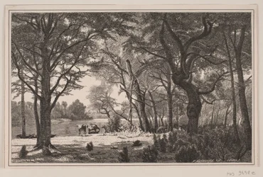 Jutlands boslandschap