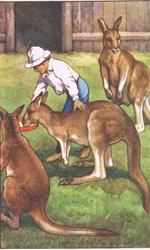 Australische jongen, uit MacMillan schoolposters, ca. 1950-60s