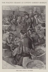 Het walnotenseizoen op Covent Garden Market, Londen (litho)