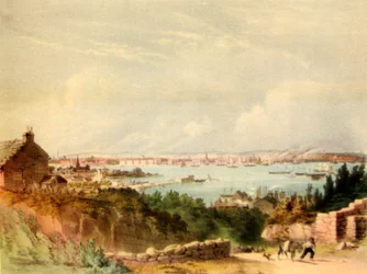 Liverpool in 1846, 1942