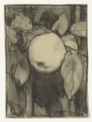 Keizer-Alexander appel