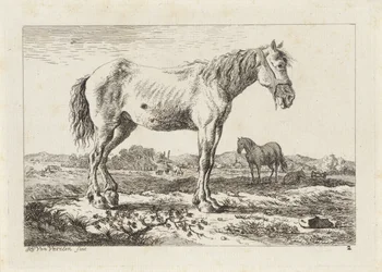 Staand paard in een landschap