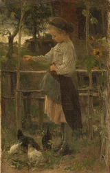 Kippen voeren