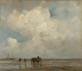 Schelp vissen